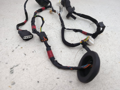 Wiring loom 5