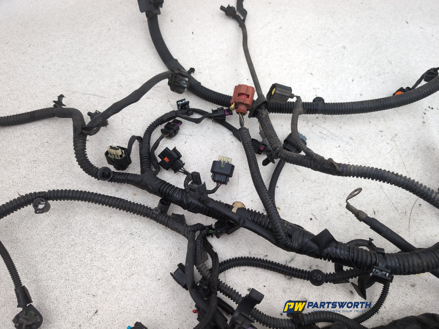 Engine Wiring Harness  5