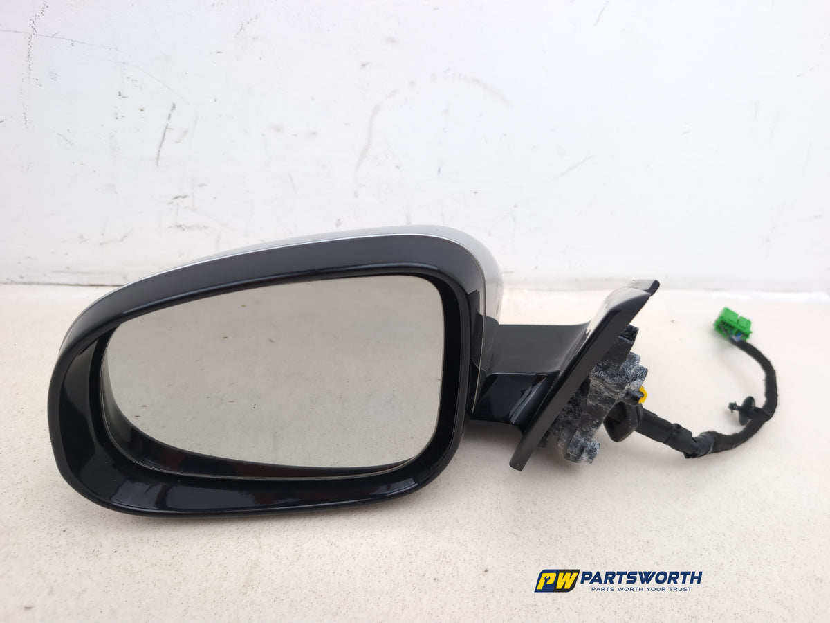 Door Mirror LH 5