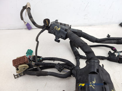 Engine Wiring Harness  5