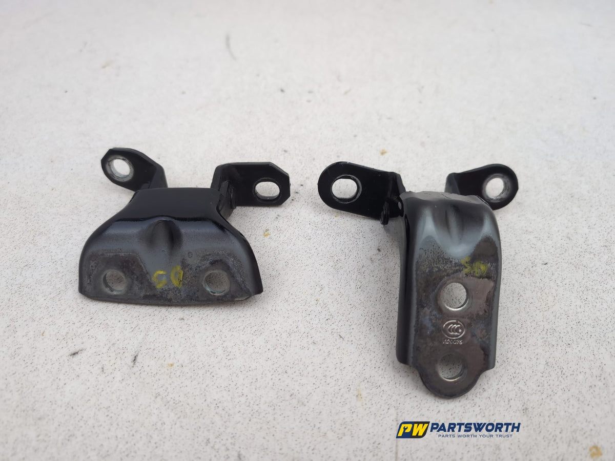 Door Back Hinge Lower RH 5