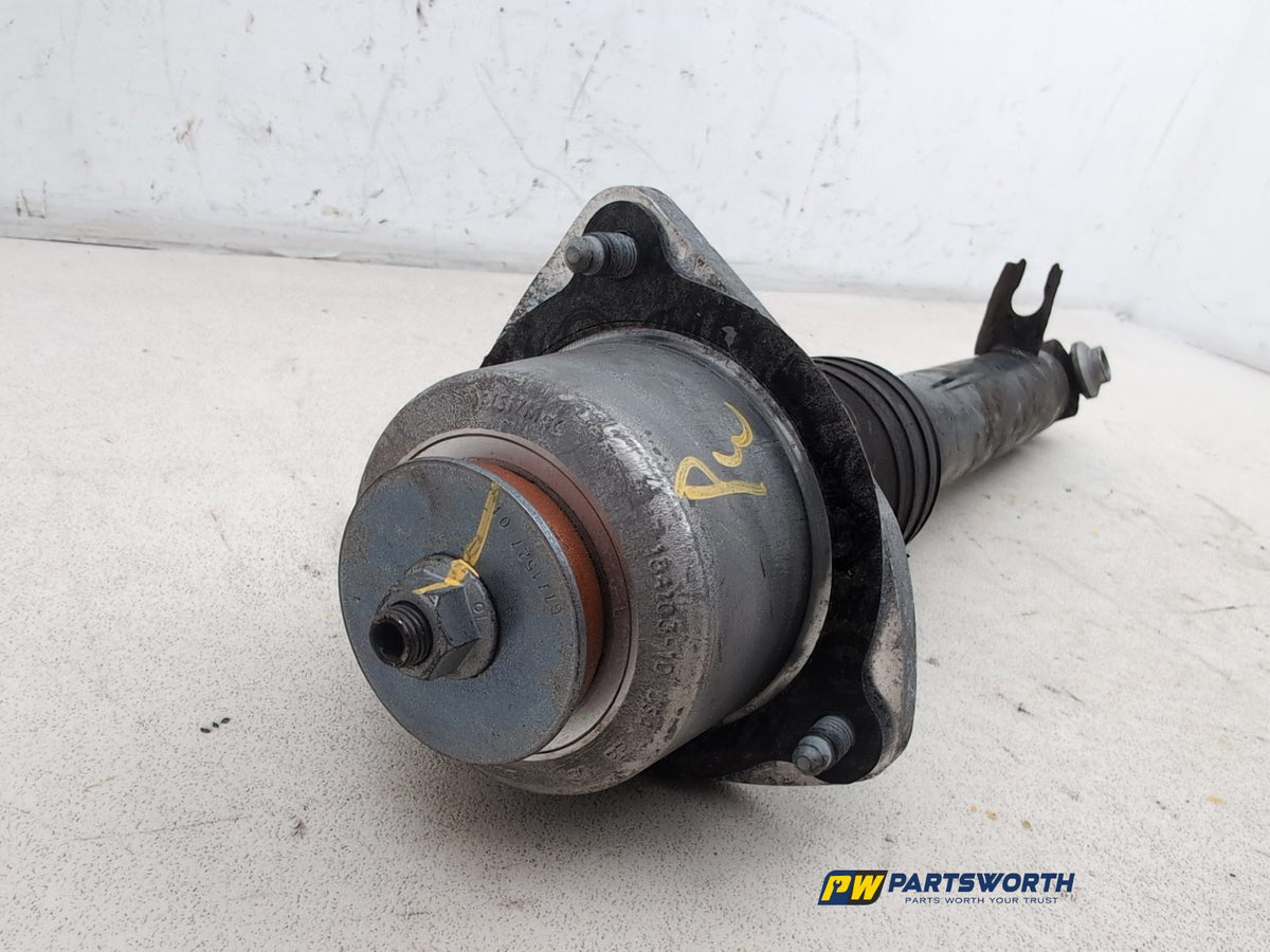 Shock Absorber Rear RH 5
