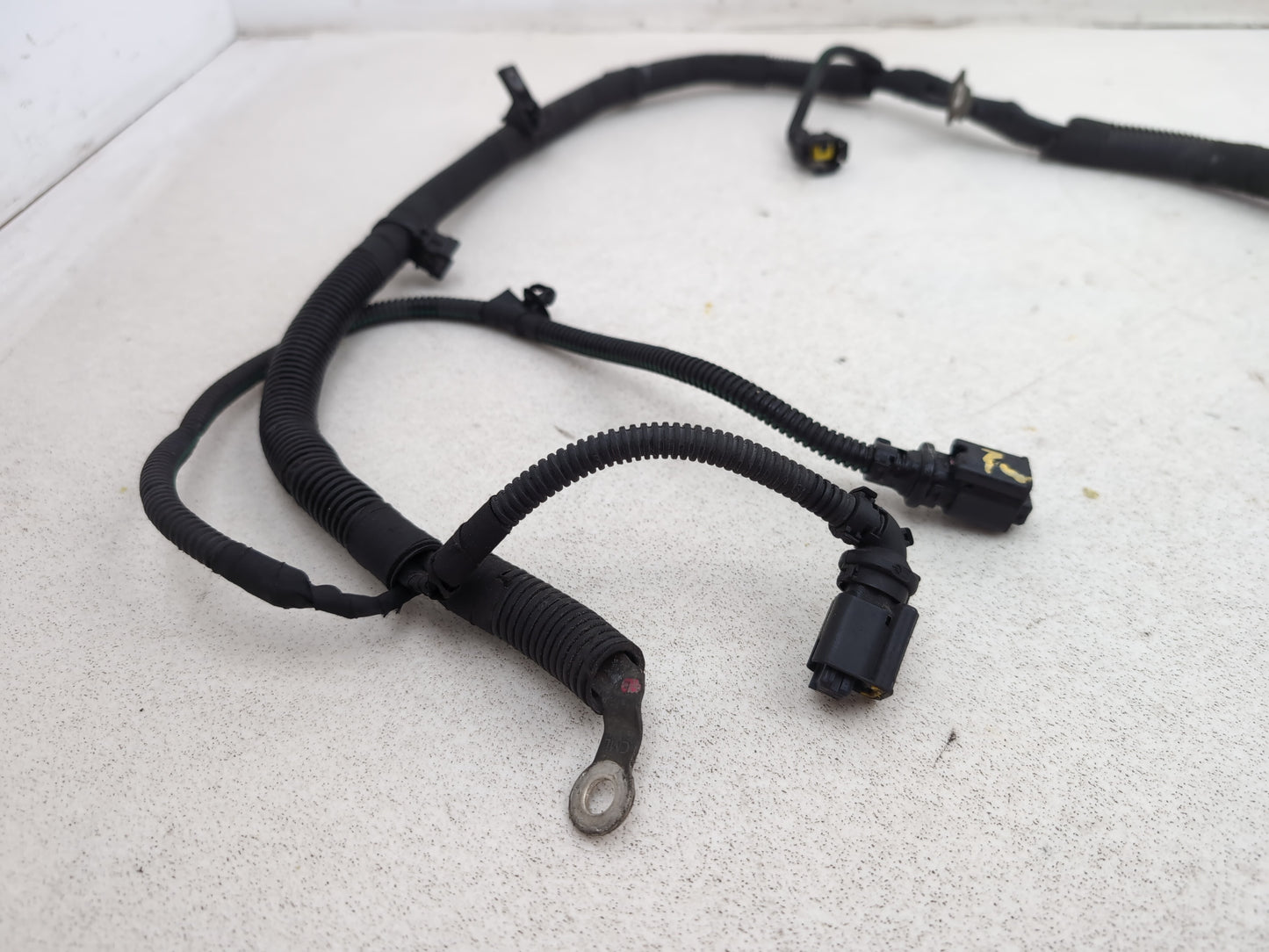 Engine Wiring Harness  6