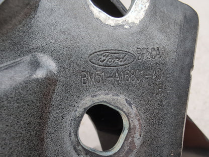Bonnet Hinges 6