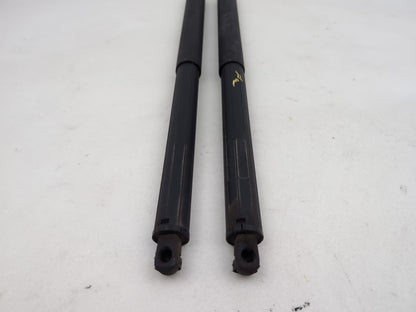 Tailgate Support Strut 6