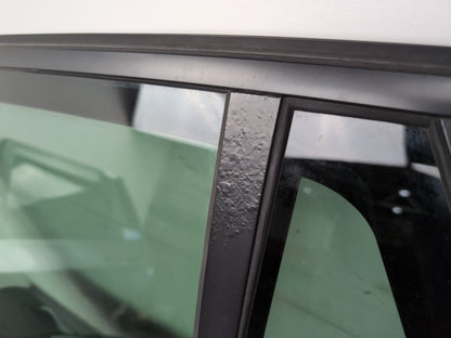 Door Rear LH 6