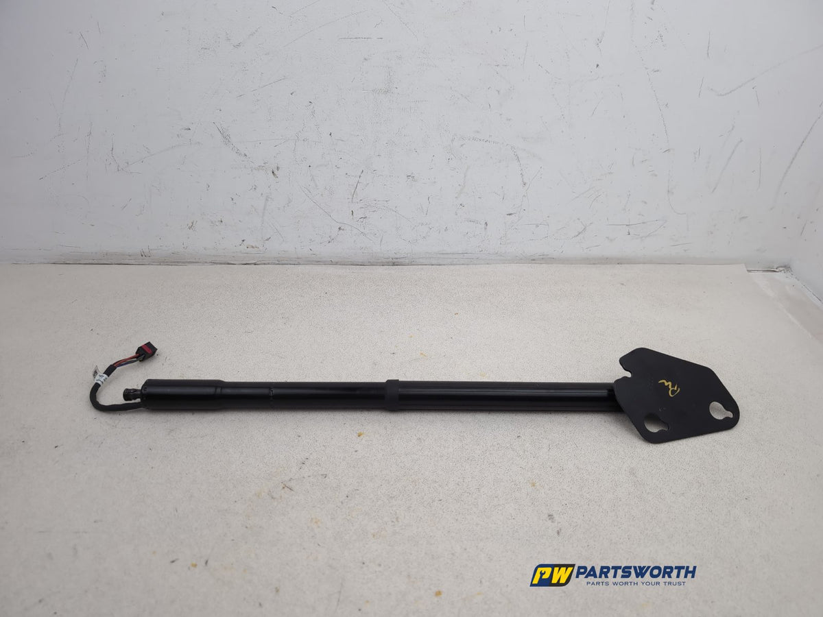 Tailgate Support Strut 6