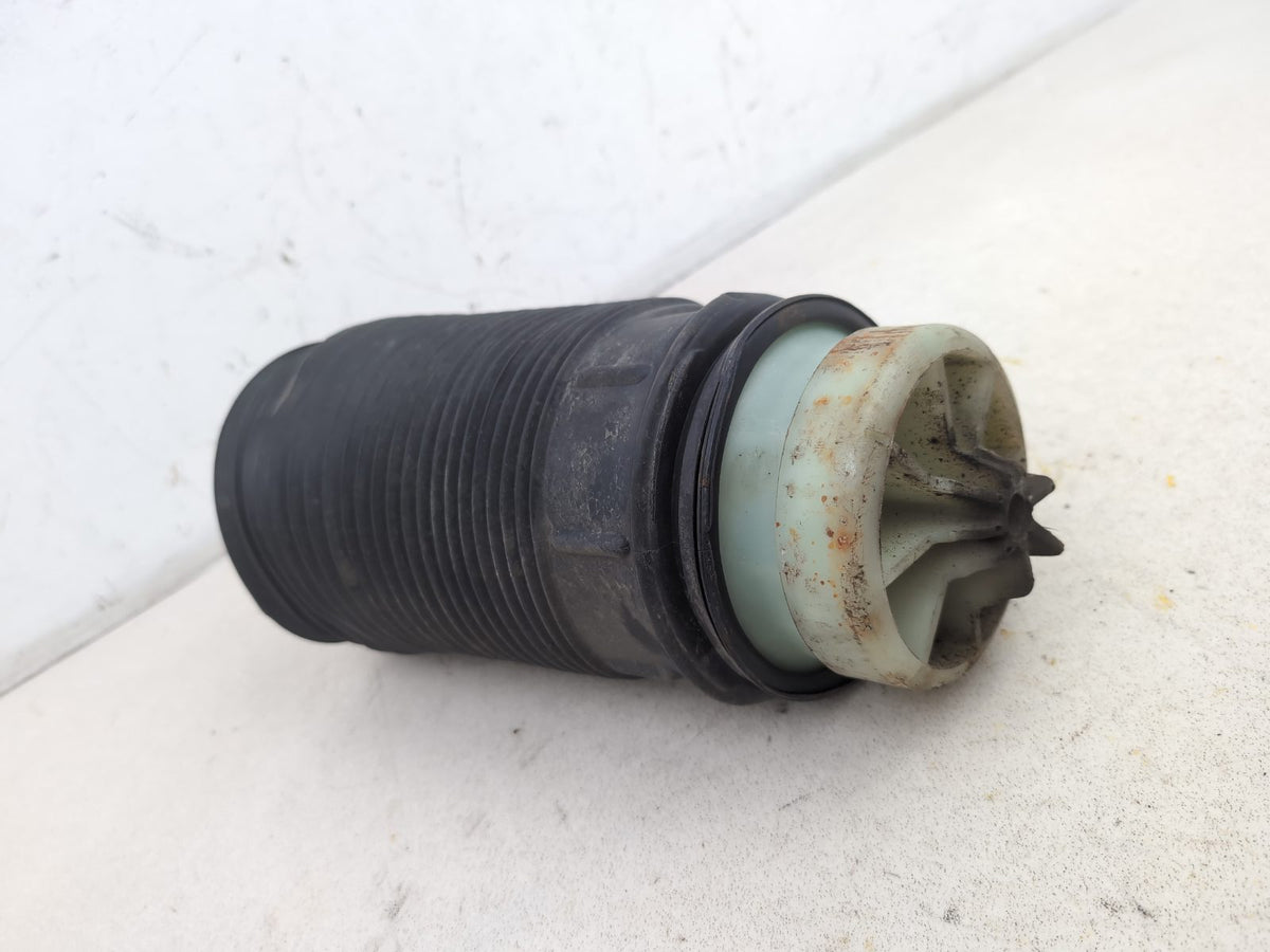 Shock Absorber Rear RH 6