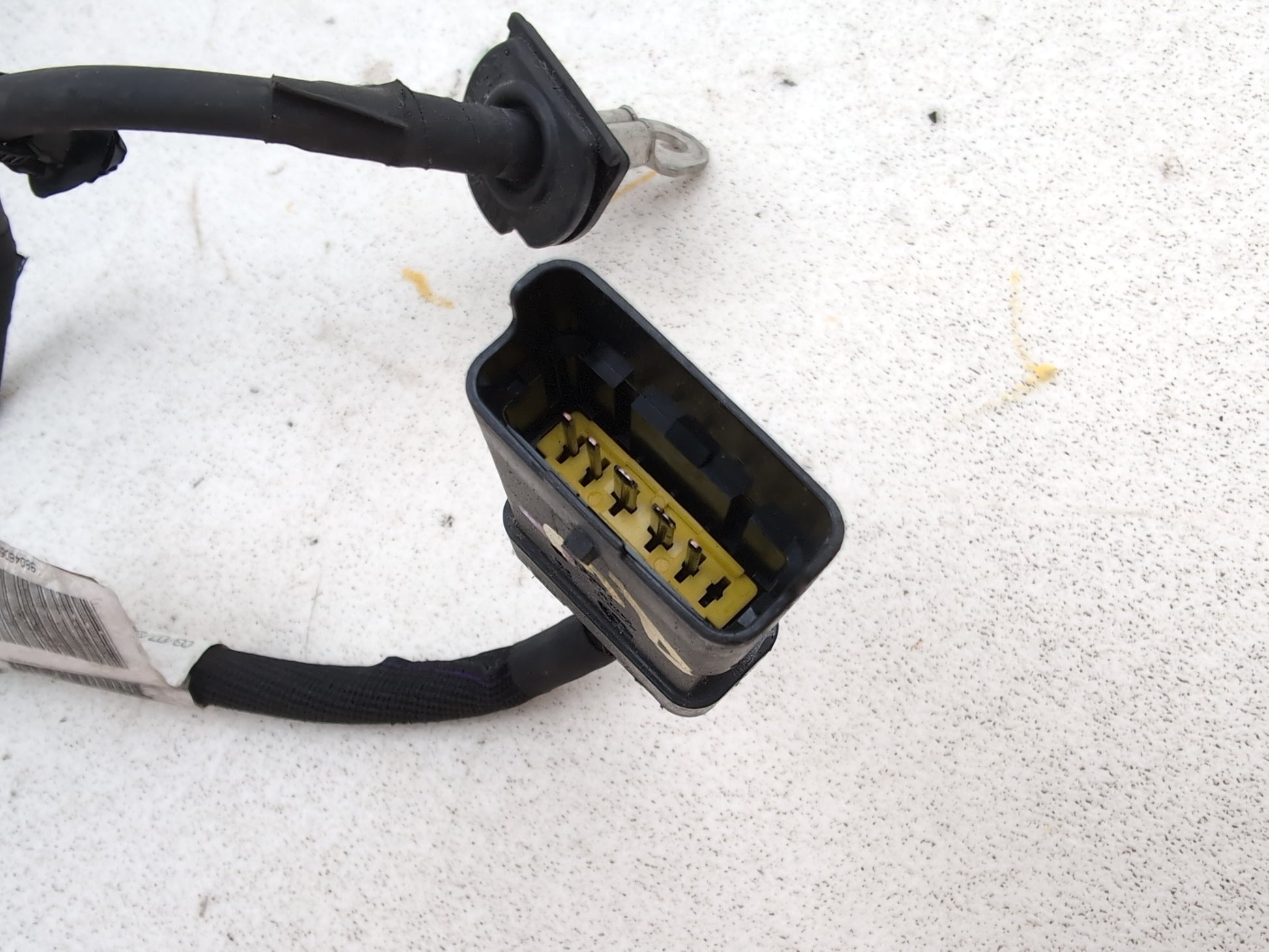 Engine Wiring Harness  7