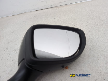 Door Mirror RH 6