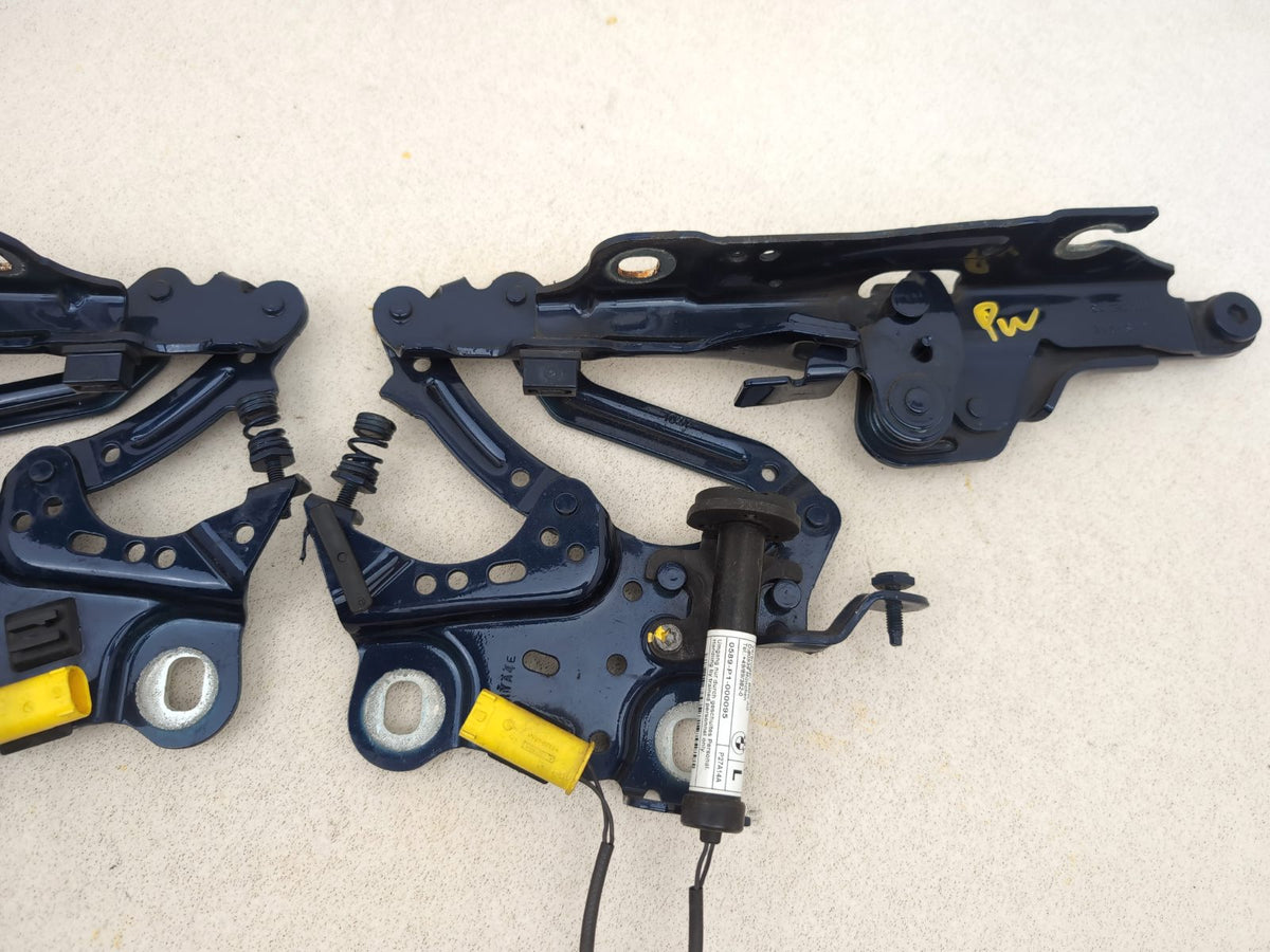 Bonnet Hinges 7