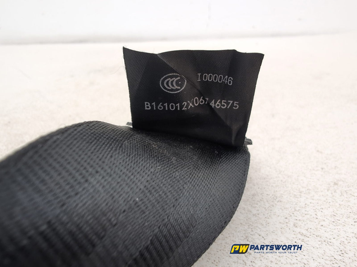 Seat Belt Rear RH 7