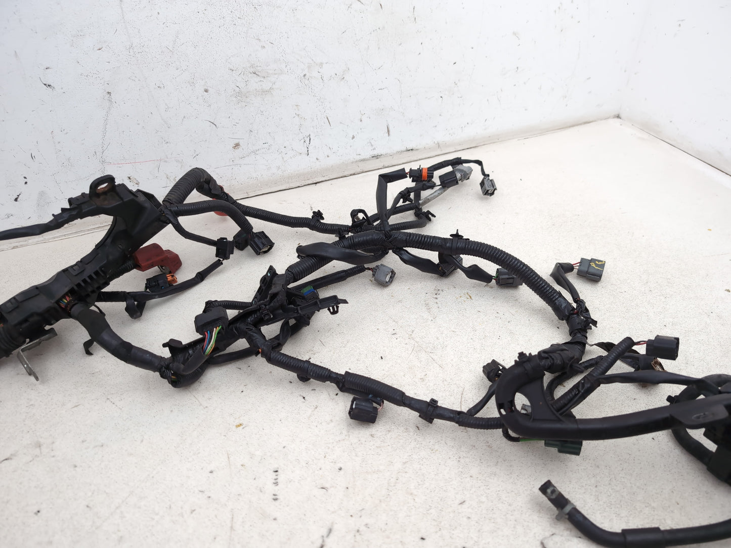 Engine Wiring Harness  8