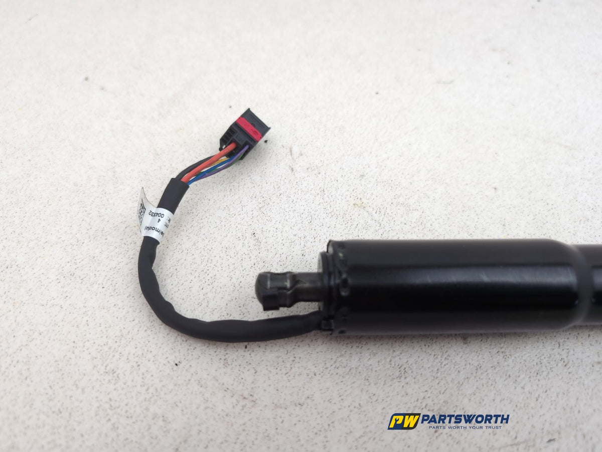 Tailgate Support Strut 8