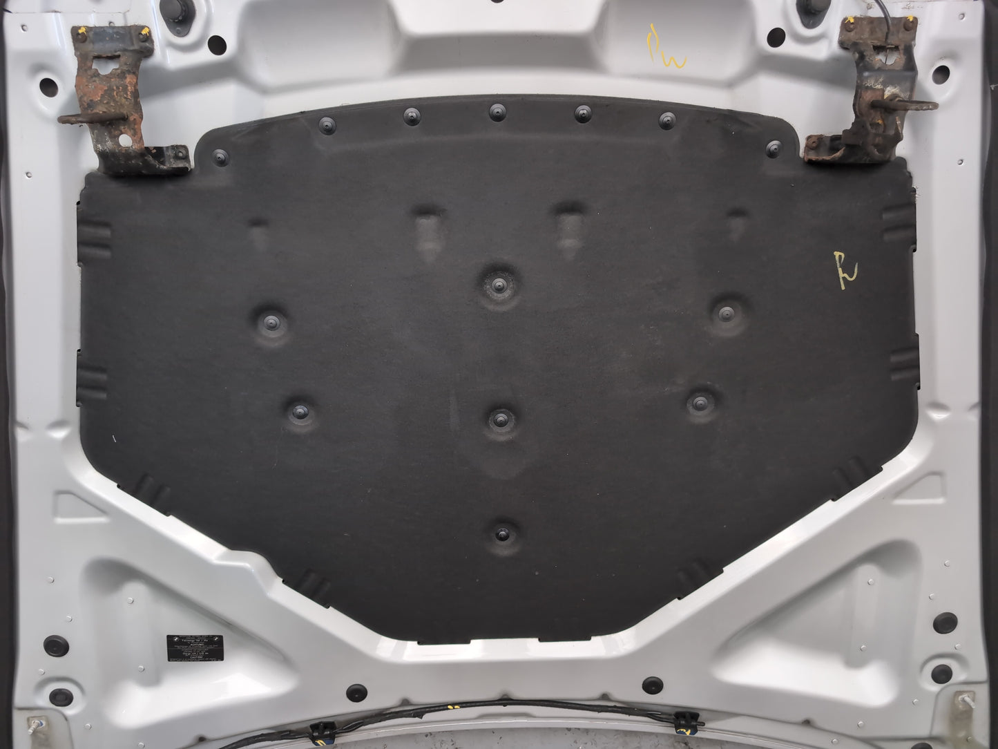 Bonnet 9