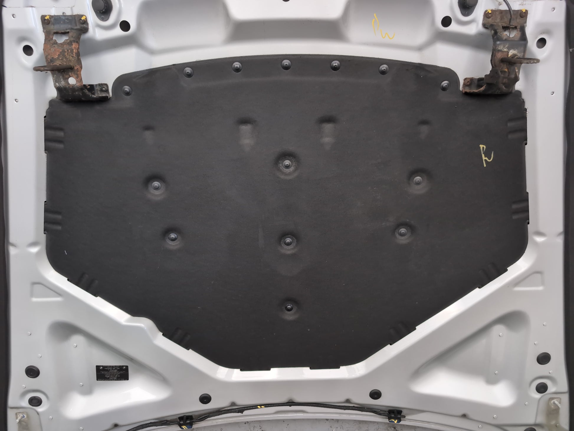 Bonnet 9
