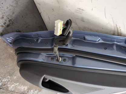Door Rear RH 10