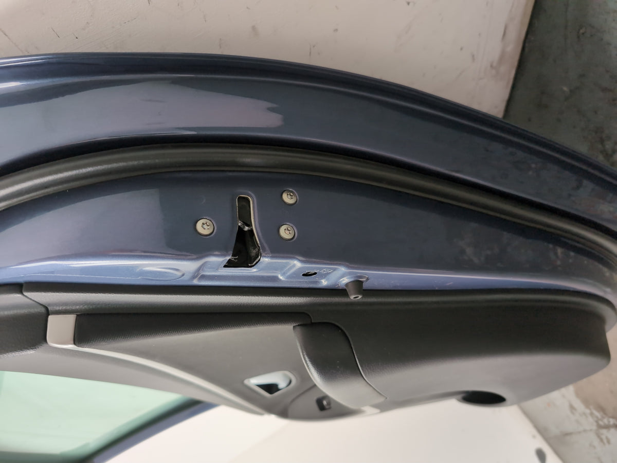 Door Rear RH 11