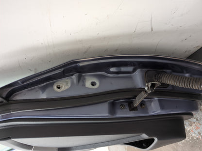Door Front LH 12
