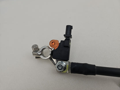 Engine Wiring Harness  5