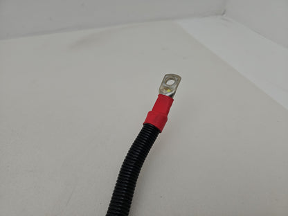Engine Wiring Harness  5