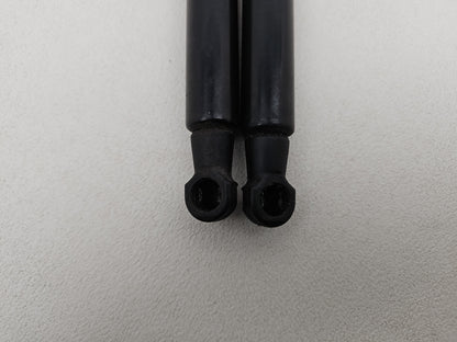 Bonnet Hinges 5