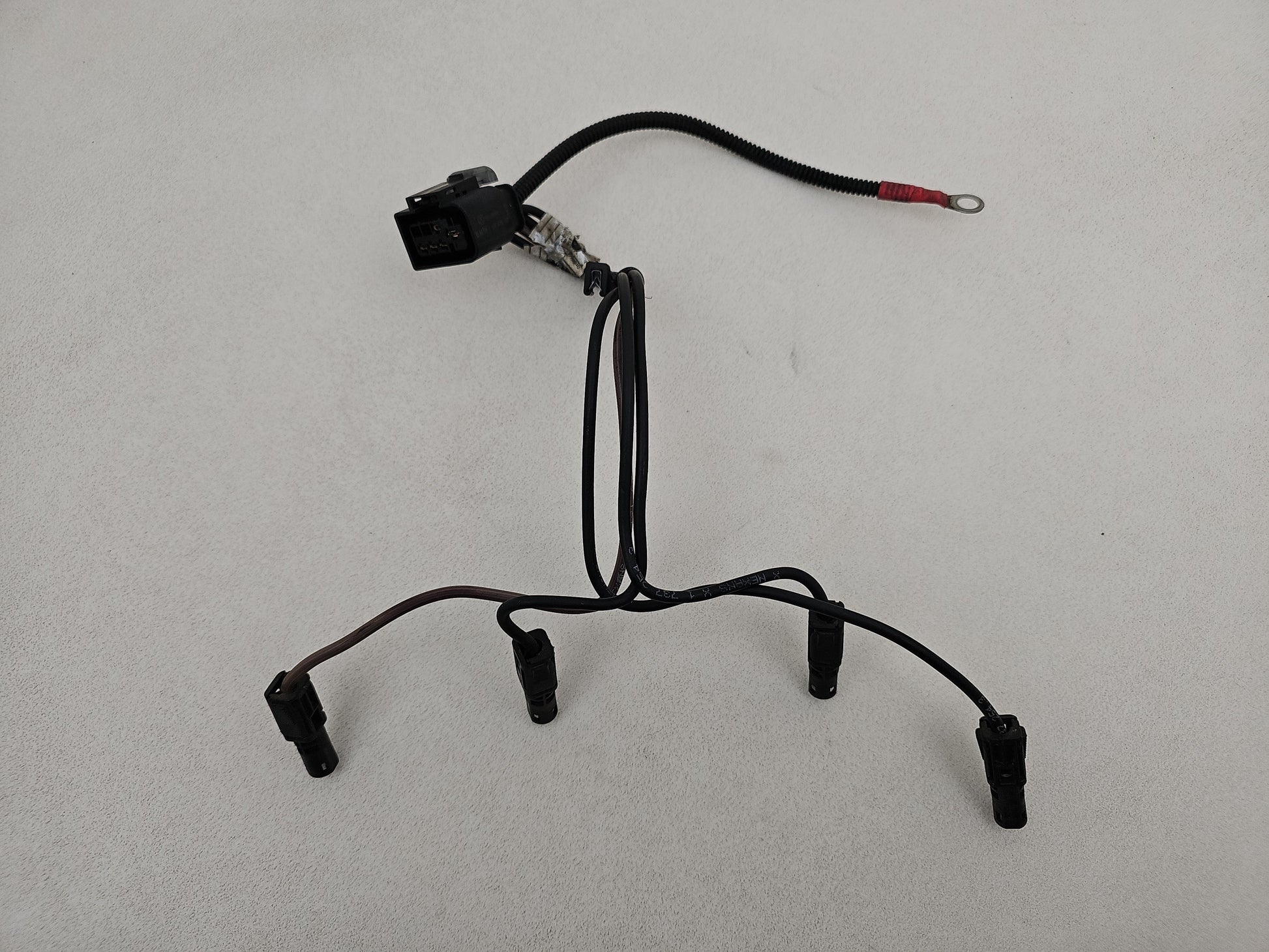 Engine Wiring Harness  5