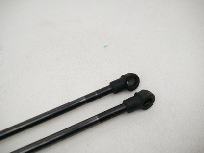 Tailgate Support Strut 5