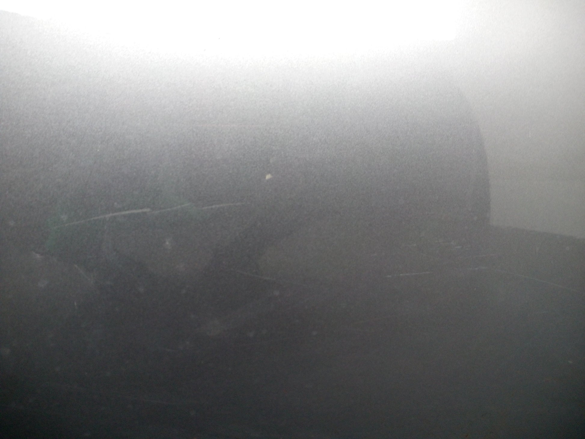 Door Rear LH 5