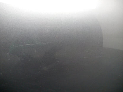 Door Rear LH 5