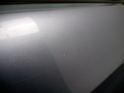 Door Rear LH 5