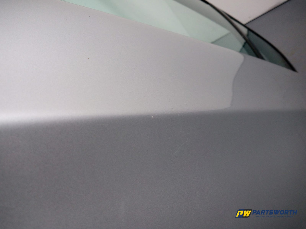 Door Rear LH 5