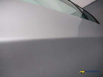 Door Rear LH 5