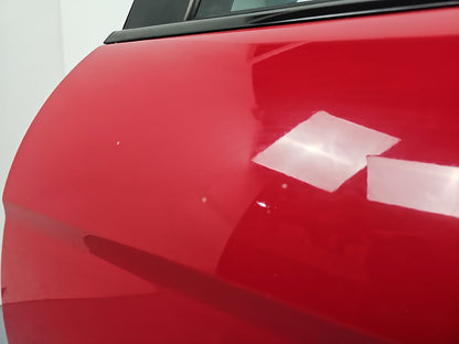 Door Rear LH 5