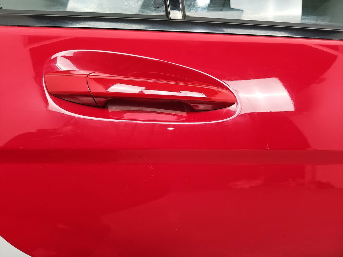 Door Rear RH 5