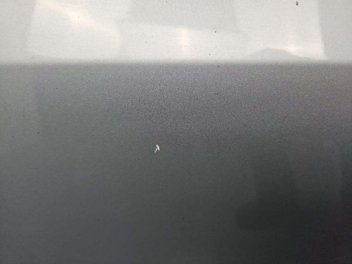 Door Rear LH 5