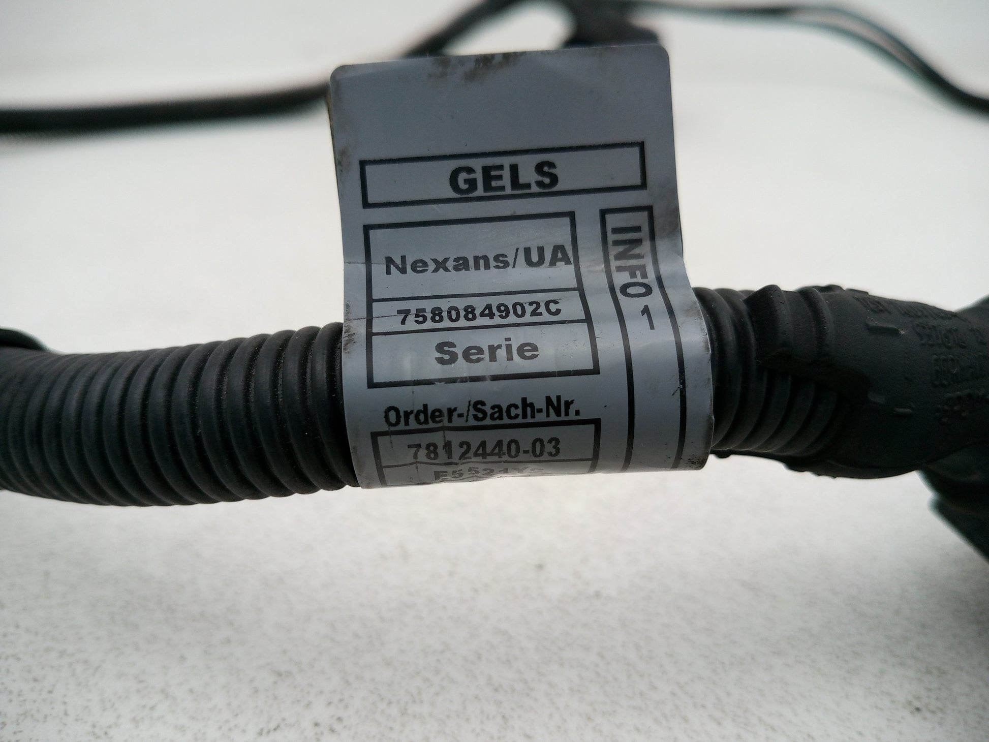 Engine Wiring Harness  5
