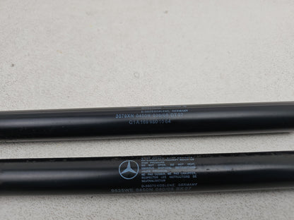Tailgate Support Strut 5