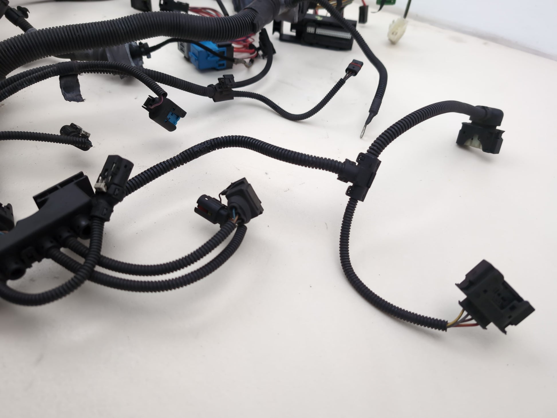 Engine Wiring Harness  5