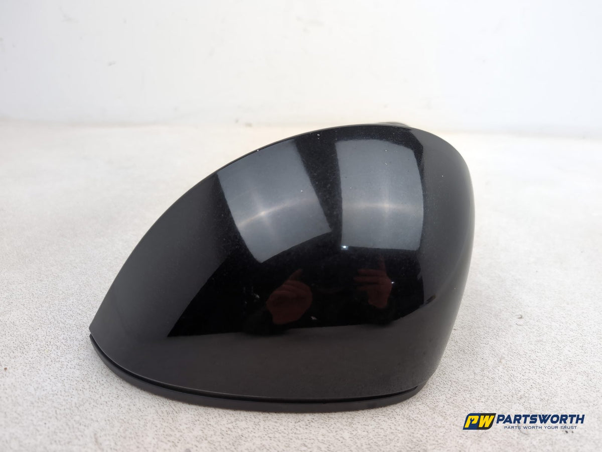 Door Mirror LH 5