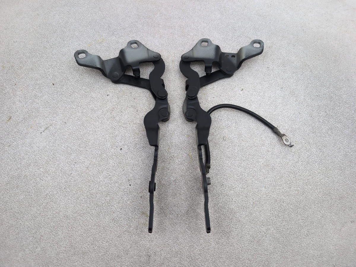 Bonnet Hinges 5