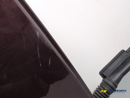 Door Rear RH 5