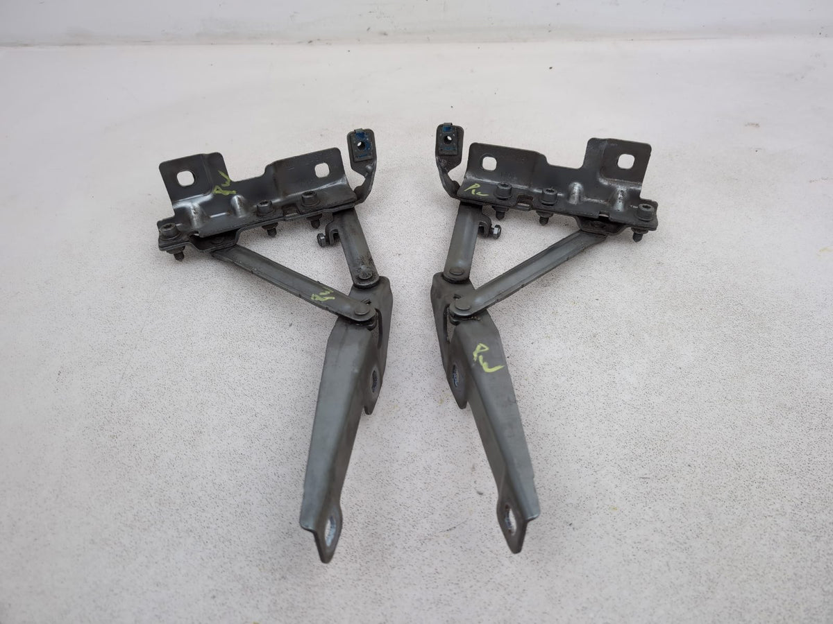 Bonnet Hinges 5