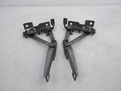 Bonnet Hinges 5