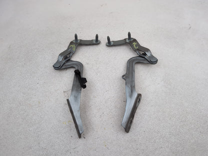 Bonnet Hinges 5