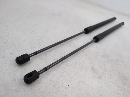 Tailgate Support Strut 5