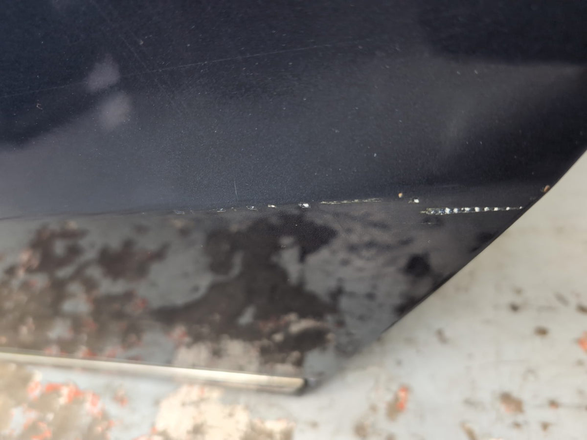 Door Rear LH 5