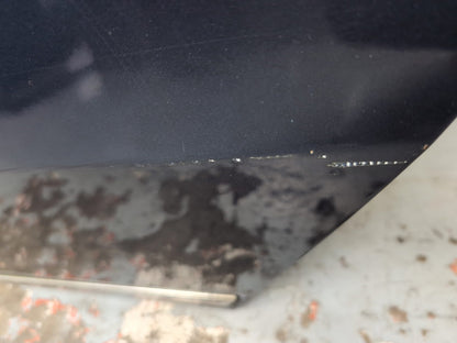 Door Rear LH 5