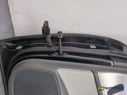 Door Rear RH 11