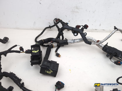 Engine Wiring Harness  5